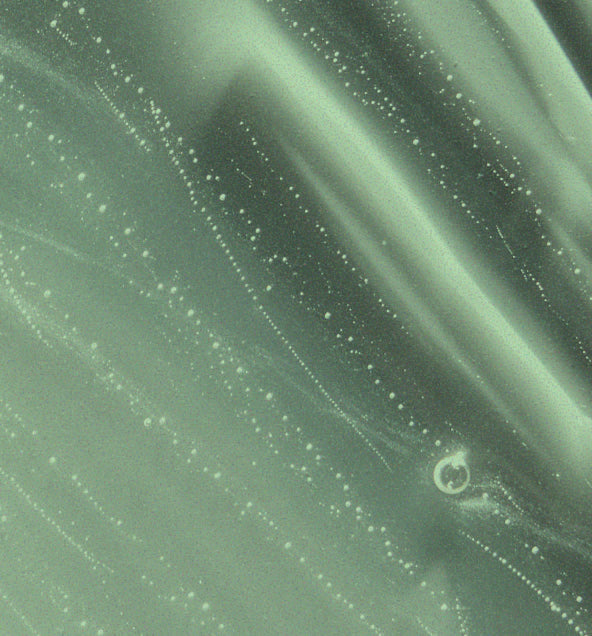 BIOSACCHARIDE GUM-1